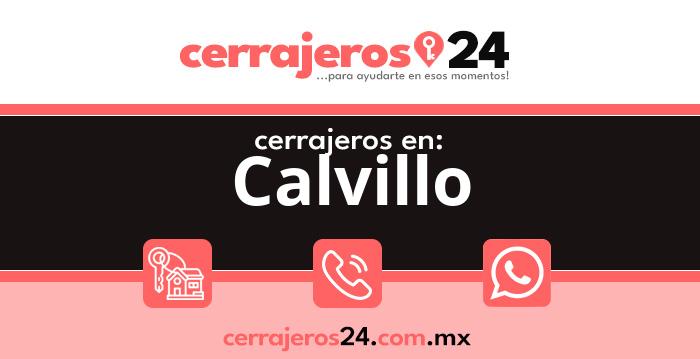 Cerrajeros 24 hrs en Calvillo